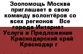 Зоопомощь.Москва приглашает в свою команду волонтёров со всех регионов - Все города Интернет » Услуги и Предложения   . Краснодарский край,Краснодар г.